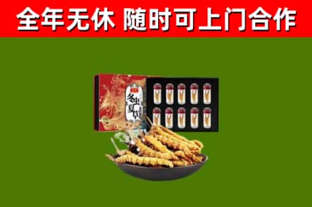 鹤峰回收冬虫夏草价格