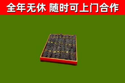 鹤峰回收海参
